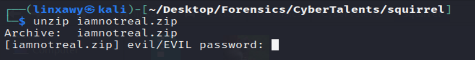 zip file with protected password